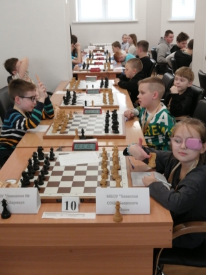 Игра в шахматы.