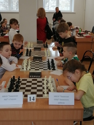 Игра в шахматы.